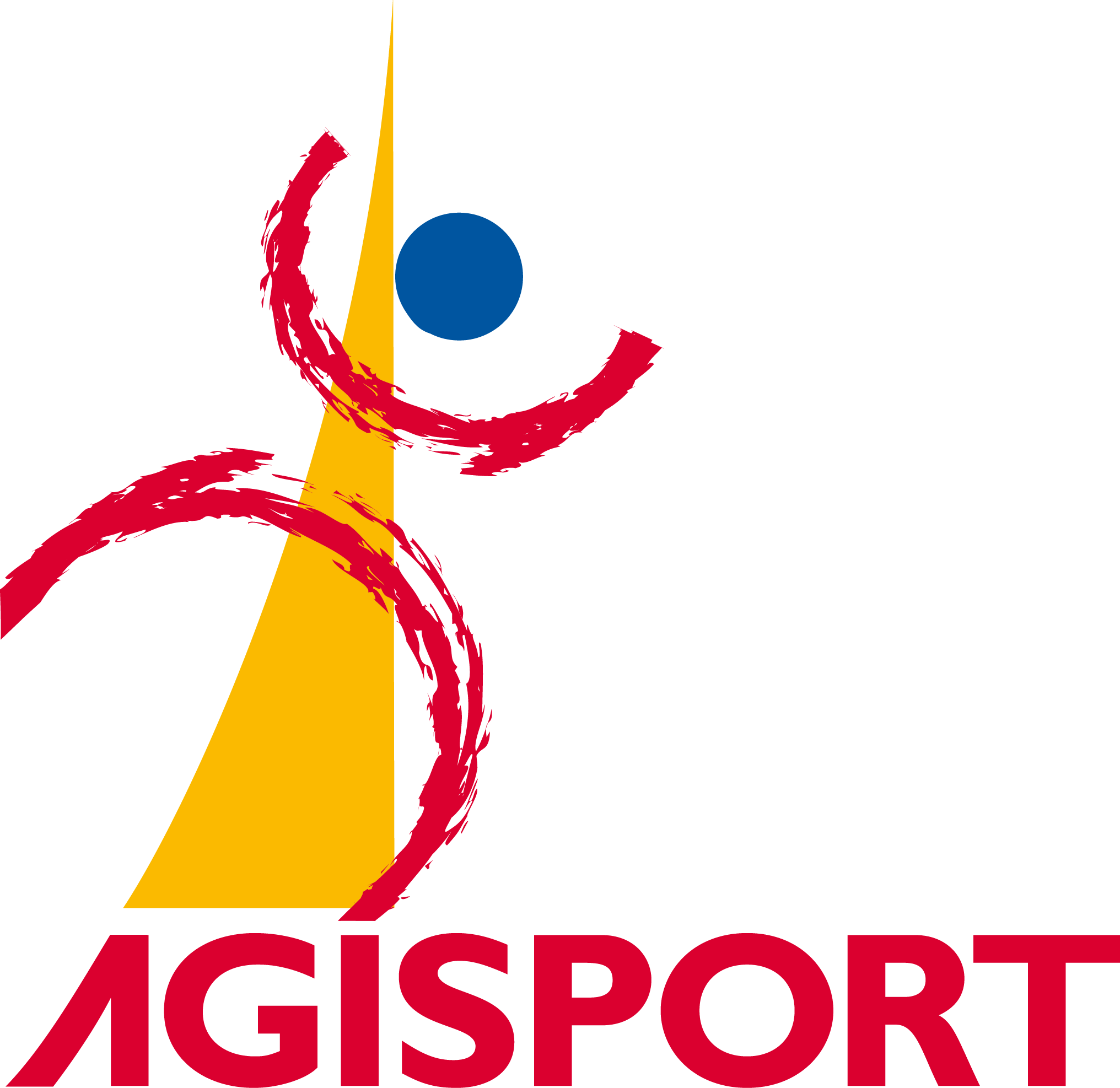 Agisport Fonds De Dotation Pour Le Sport A Strasbourg